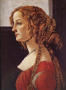 Sandro Botticelli  Spain oil painting artist